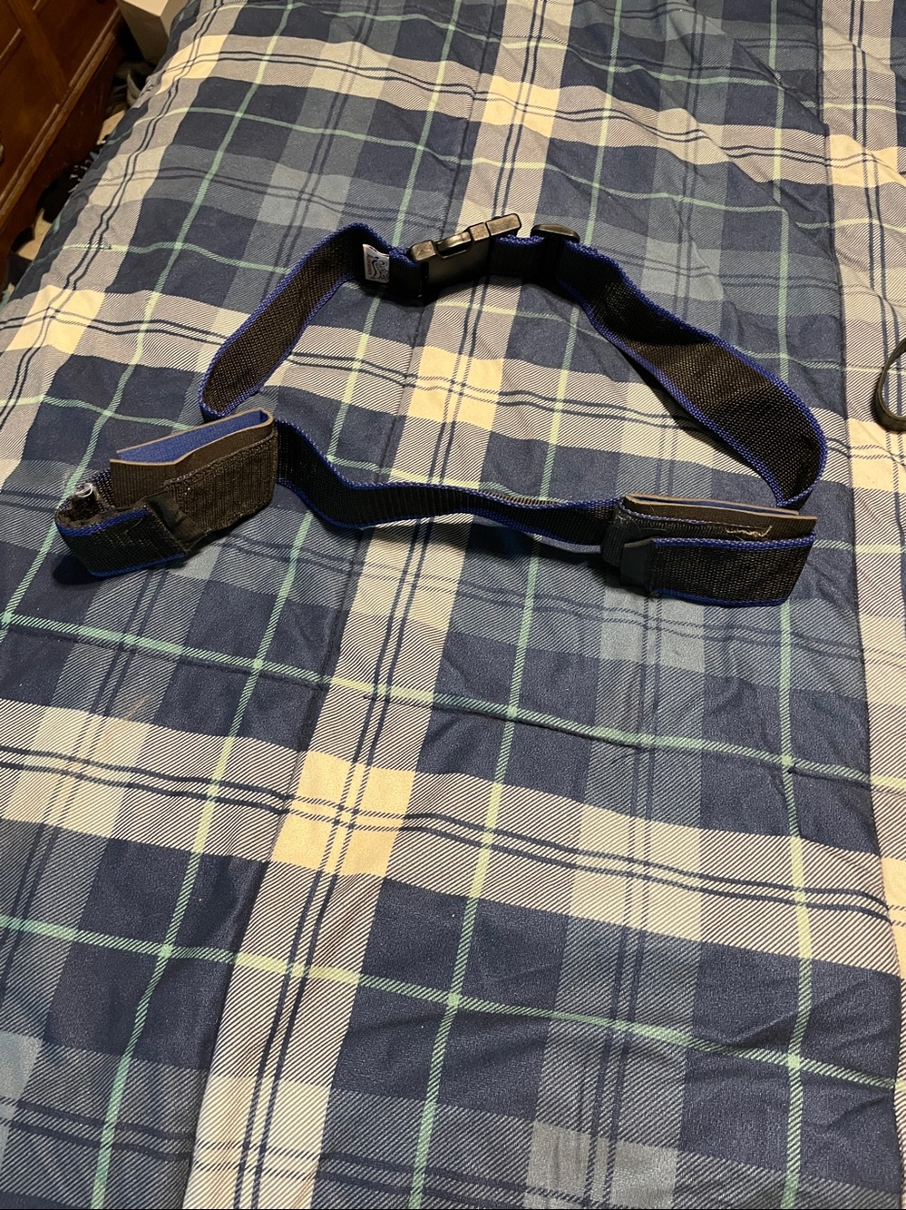 blue adjustable restraint belt